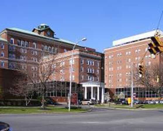 Albany med college