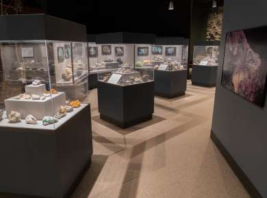 New York State Museum