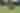 Football Stock Image