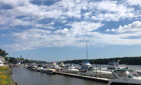 Coeymans