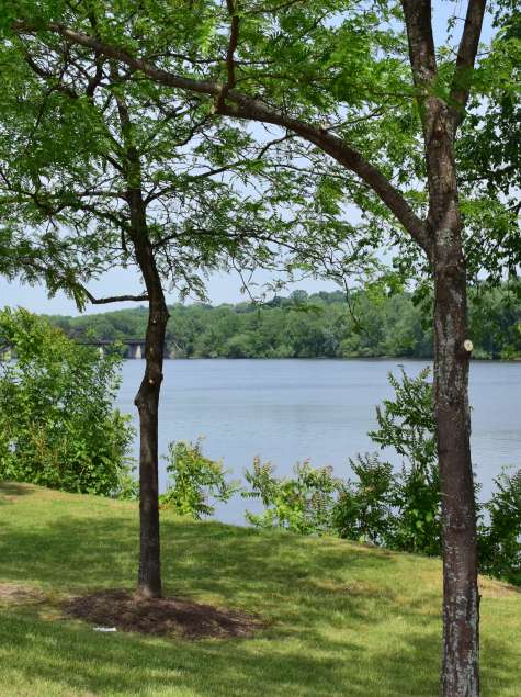 Corning Preserve