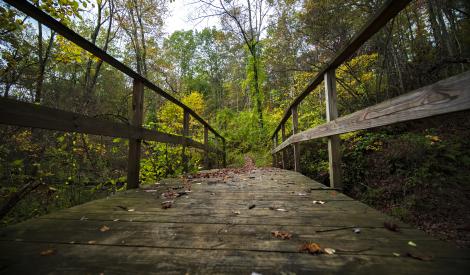 Albany Pine Bush Preserve