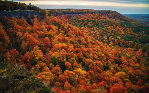 Thacher Park in Fall