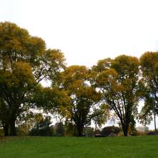 Washington Park