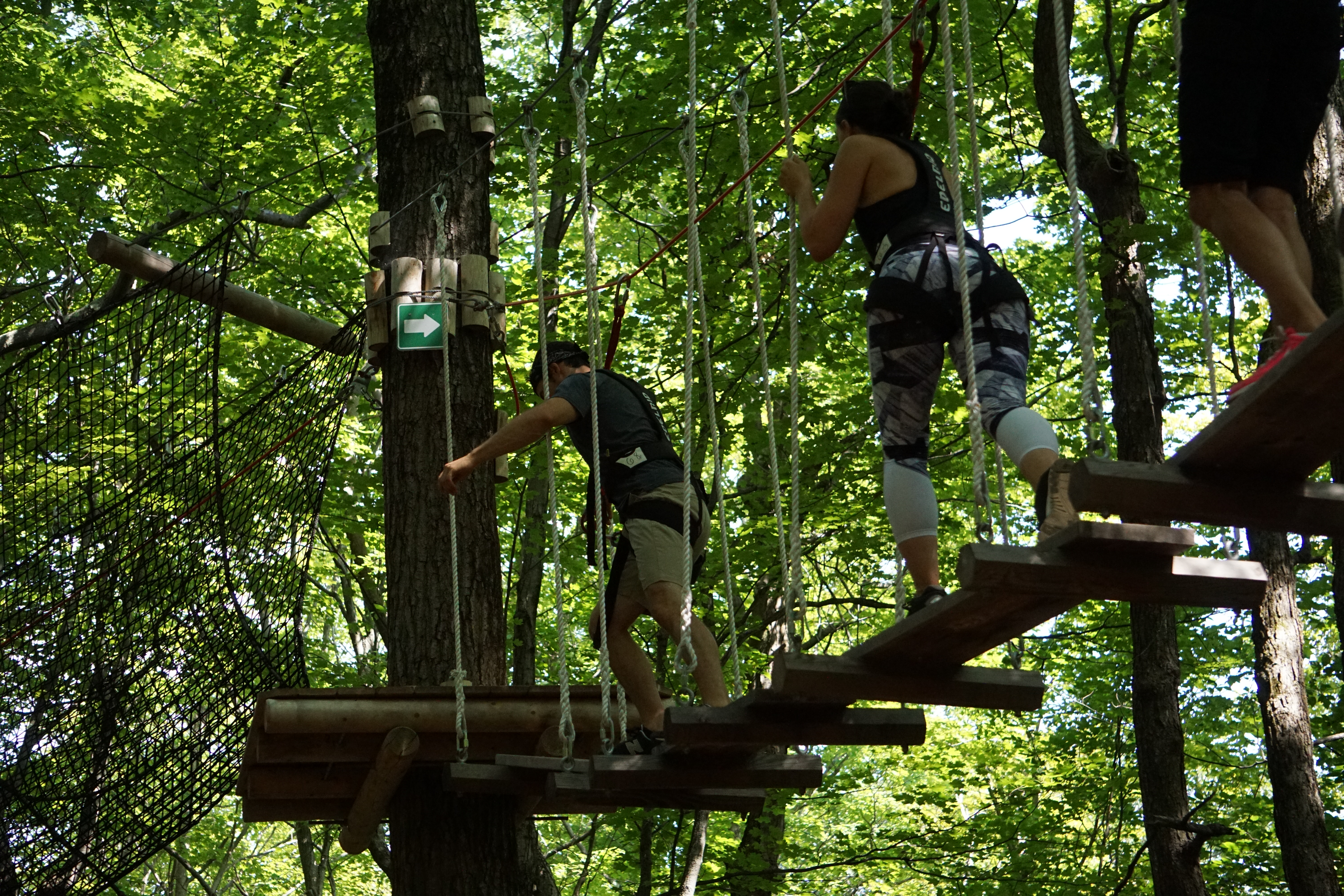 WildPlay Elements Park