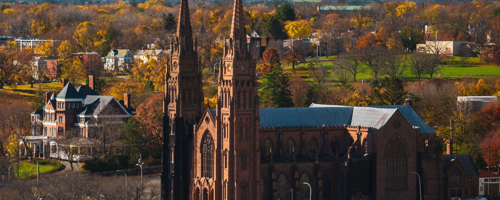 Cathedral of the Immaculate Conception