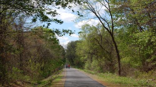 Trail View