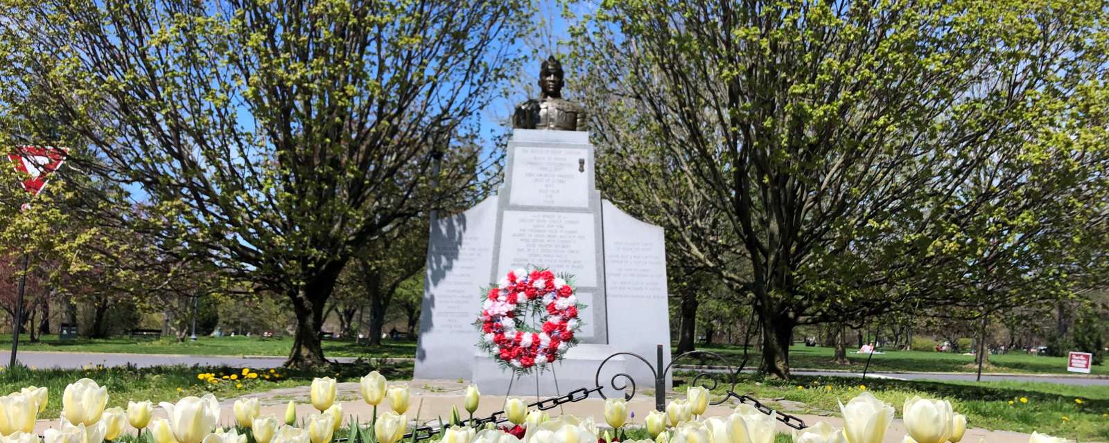 Henry Johnson in Washington Park