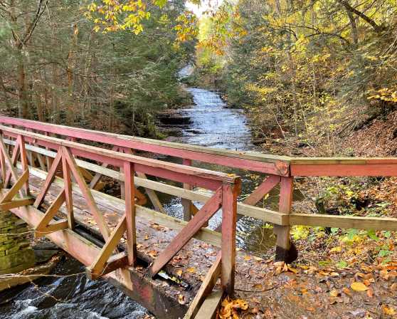 Huyck Preserve