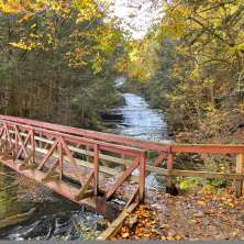 Huyck Preserve in Fall