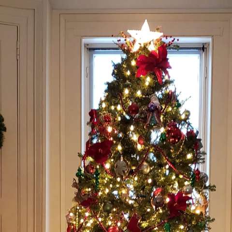 Ten Broeck Mansion Holiday Header