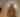 Ten Broeck Mansion Holiday Header