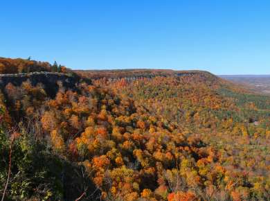 Thacher Park in Fall