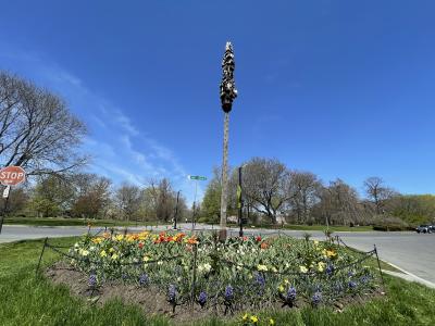 Birdhouse Garden in Washington Park