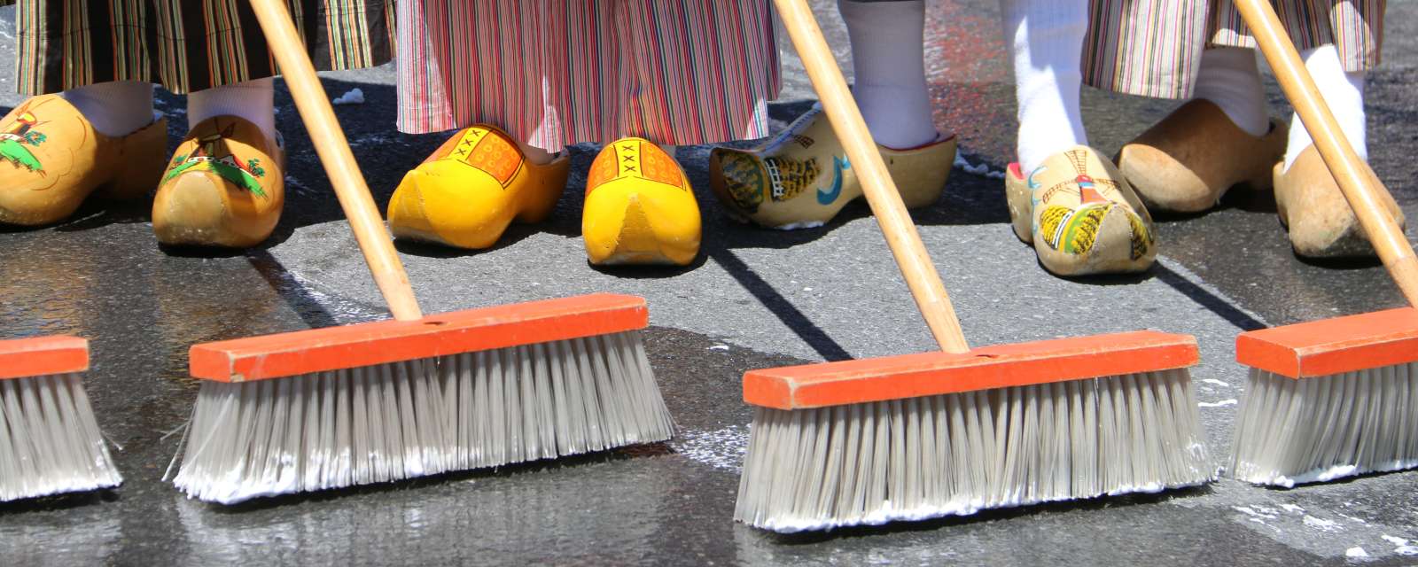 Albany Street Scrubbing