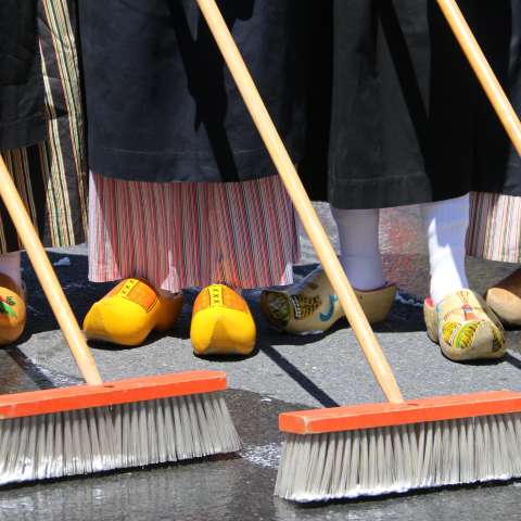 Albany Street Scrubbing