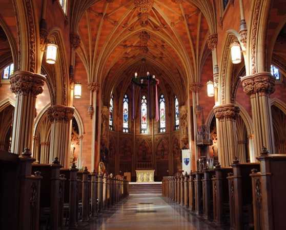 Cathedral of the Immaculate Conceptin