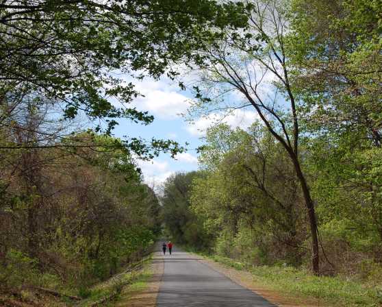 Mohawk Hudson Land Conservancy - Albany County Helderberg Hudson Rail Trail