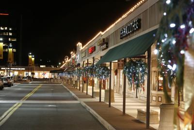 Stuyvesant Plaza Winter