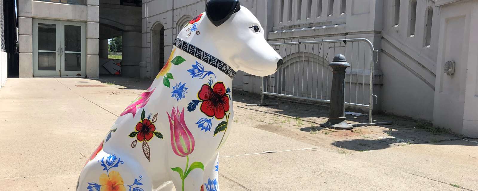 Downtown is Pawesome Nipper