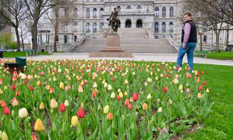 Discover Spring in Albany