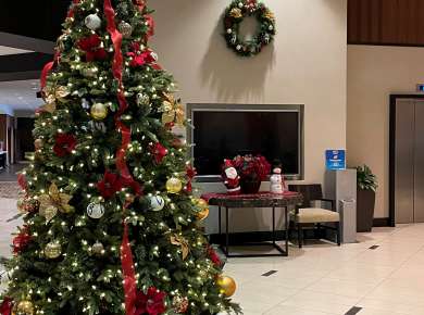 Holiday Hilton Albany Hotel