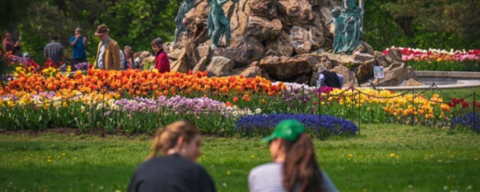 Tulip Festival