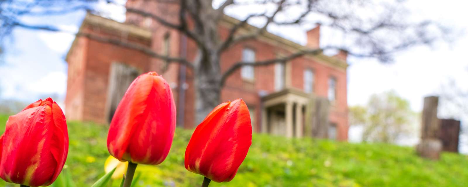 Ten Broeck Mansion