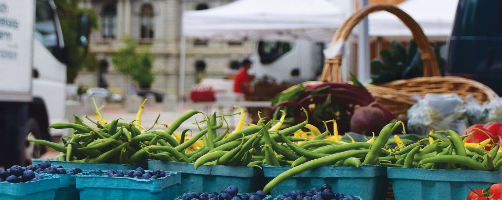 Fresh vegetables and fruit