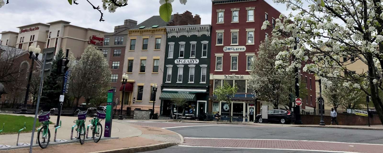 Spring blooms in downtown Albany