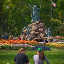 Copy of Tulip Festival