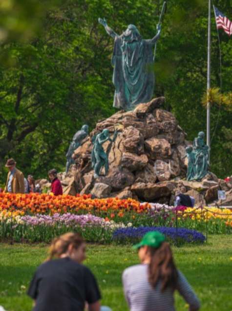 Copy of Tulip Festival