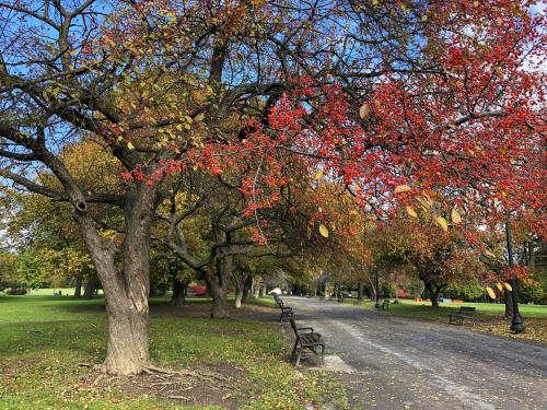 Washington Park