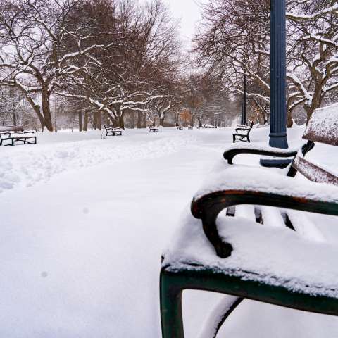 Winter Washington Park