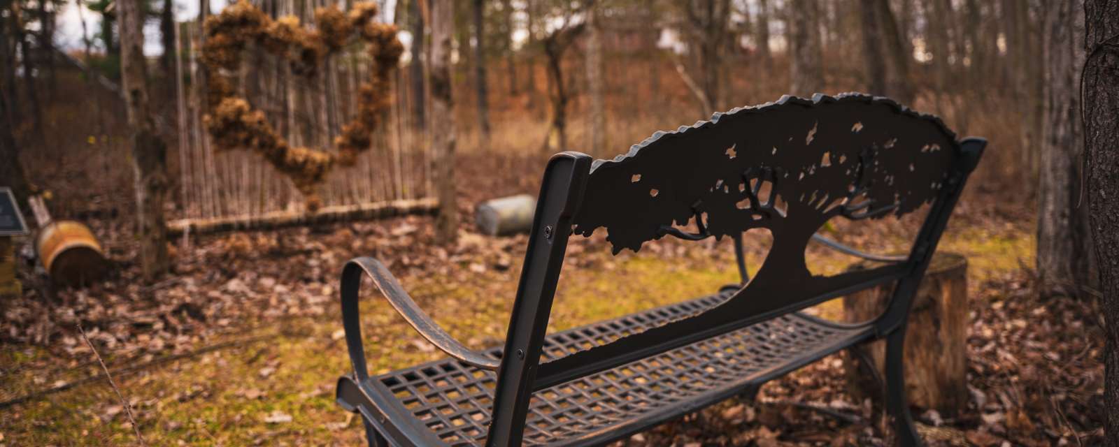 Pine Hollow Arboretum Winter