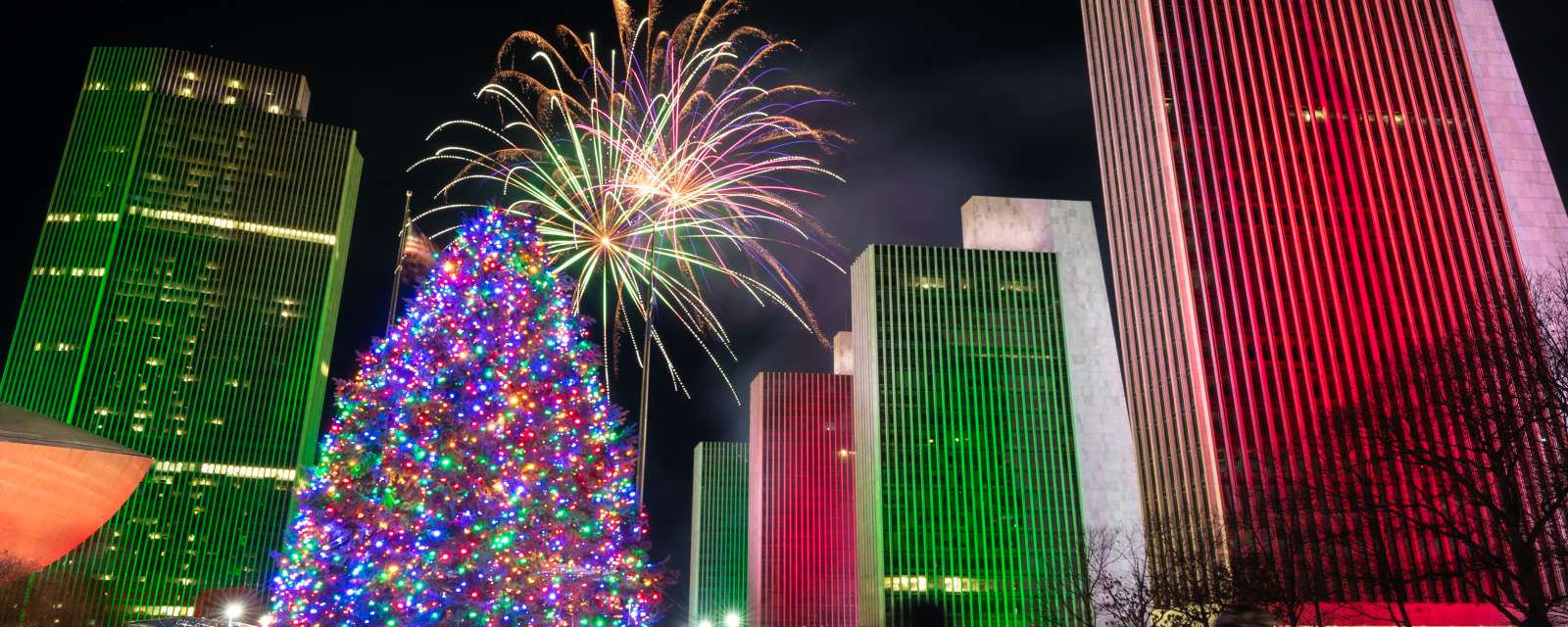New York State Holiday Tree Lighting at Empire State Plaza